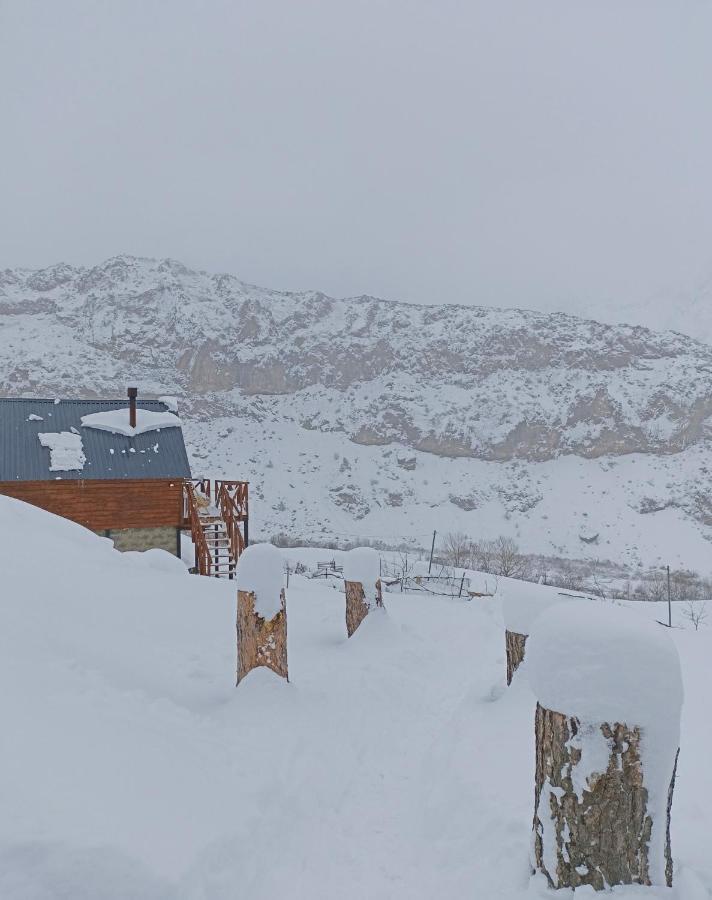 Cottage Toladi Kazbegi Eksteriør billede