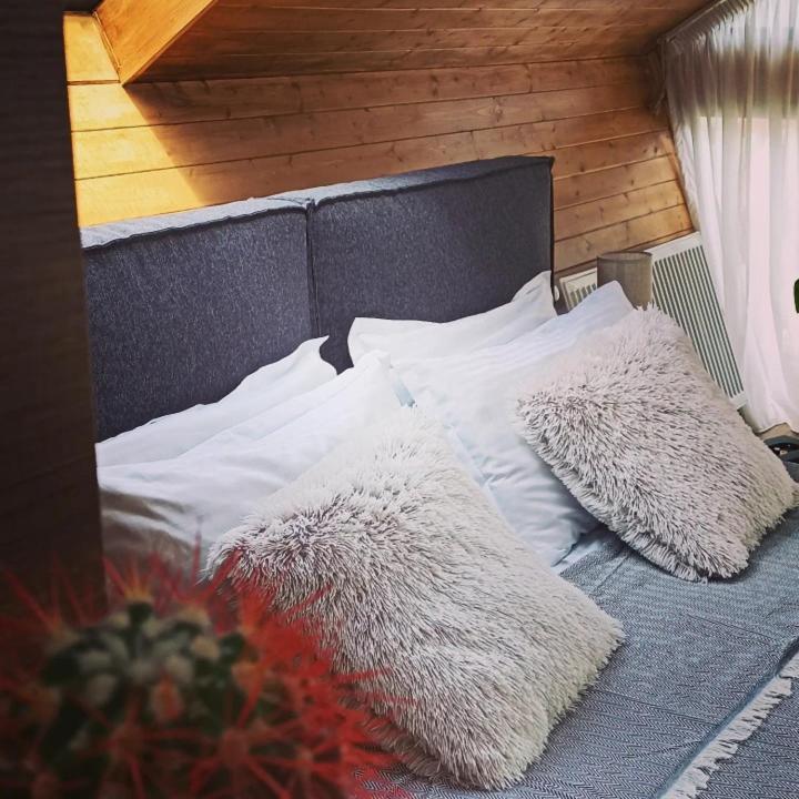 Cottage Toladi Kazbegi Eksteriør billede